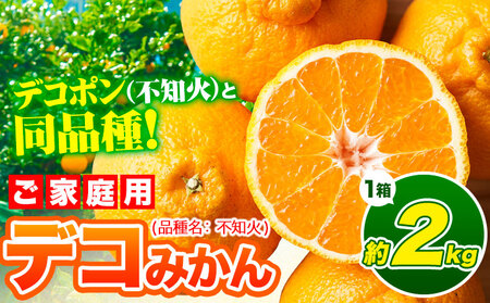 デコみかん 訳あり 2kg みかん