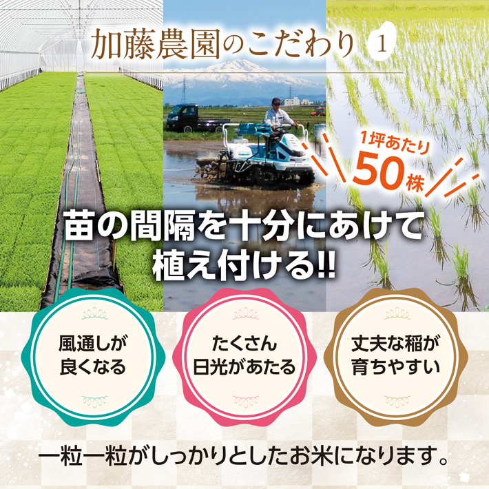 SA2707　令和7年産【精米】特別栽培米コシヒカリ　5kg×1袋「農家直送」 KA