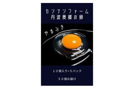 丹波奥郷の卵 やまぶき ４５個+５個破卵補償 (約3L）たまご