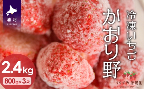 北海道浦河産 冷凍いちご 「かおり野」(800g×3P)[13-539]