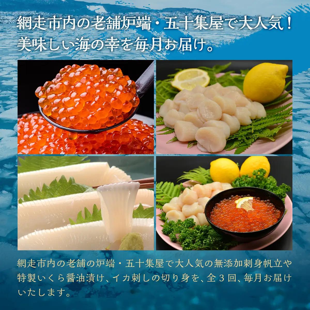 【毎月定期便】網走自慢の美味定期便(刺身帆立・いくら醤油漬け・イカ刺身)全3回 【 ホタテ ほたて 帆立 いくら イクラ いくら醤油漬 イクラ醤油漬 】 ABAO089