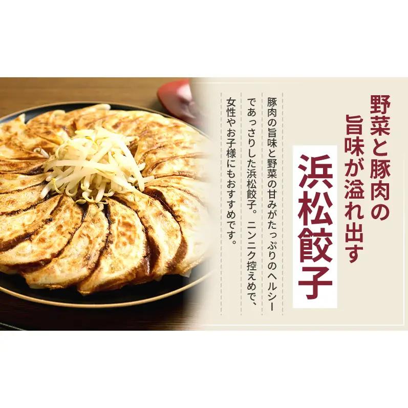 【定期便6回】浜松餃子 80個 (20個×4袋) セット 詰め合わせ 餃子のたれ 小袋 知久屋 国産 ぎょうざ 餃子 ギョーザ 冷凍餃子 冷凍ギョーザ 工場直送 ヘルシー あっさり 惣菜 中華 点心 
