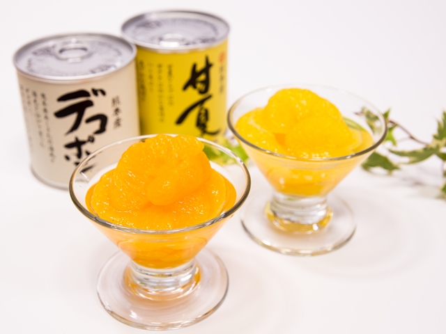 B34-54 デコポン、甘夏缶詰（48缶）