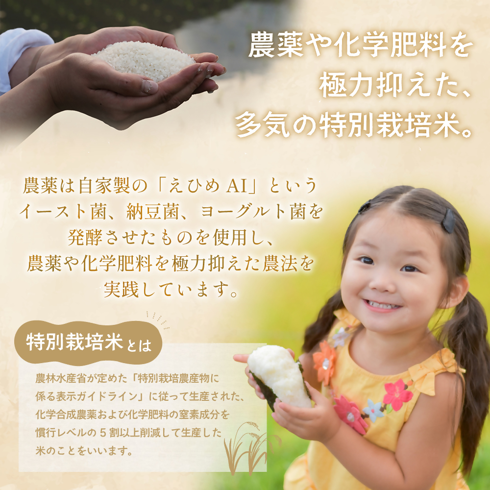  TC‐0620【８月中旬発送】令和７年産 特別栽培米 循環型農業で作った「にじのきらめき」10kg (5kg×2)_イメージ3
