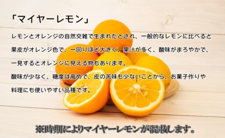 レモン 国産  檸檬 無農薬レモン マイヤーレモン  1.5kg