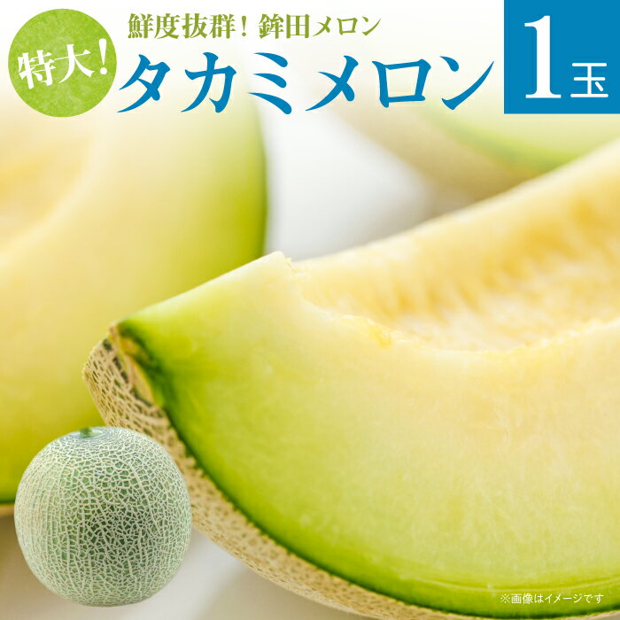 【ふるさと納税】メロン 生産量日本一 めろん 特大 タカミメロン 緑肉 1玉 3kg 人気 おすすめ 贈答 茨城 お返し 先行予約 スイーツ 送料無料 味 茨城県 還元率 青肉 フルーツ 鉾田市 デザート くだもの お取り寄せ 甘い ジューシー 期間限定 みなみ果樹園芸