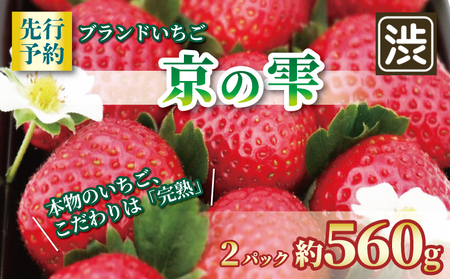 【先行予約】いちご 京の雫 2パック約520g 京都のいちご 甘いいちご ブランドいちご 完熟いちご