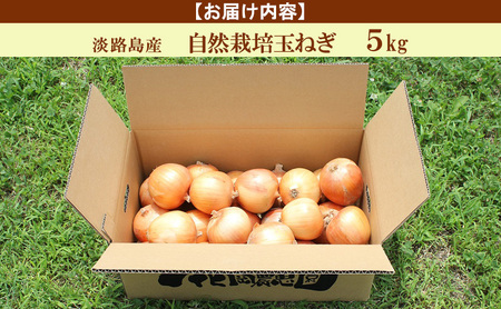 淡路島産 栽培期間中 無肥料 無農薬 自然栽培 玉ねぎ 5kg 野菜 玉葱 兵庫県 洲本市 淡路島