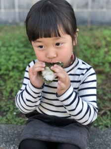 【 定期便 】 令和5年産 里山新見のめぐみ あきたこまち 5kg×3ヶ月連続