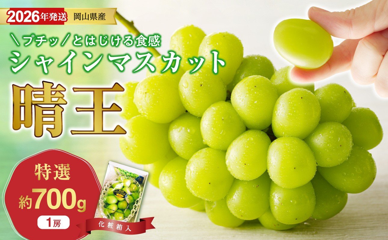 
            【2026年発送分 先行受付スタート！】岡山県産シャインマスカット「晴王」 特選　大房　化粧箱入　1房（約700g）（令和8年8月中旬以降発送） 【 シャインマスカット 晴王 フルーツ 果物 くだもの 葡萄 ぶどう 岡山県産 特選 種無し 高糖度 】hz-s
          