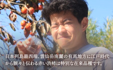 【業界誌（料理通信）お宝食材コンテスト ベスト20選出】天然 酵母 柿酢 600ml × 3本 南島原市 / 中邨[SAG003]
