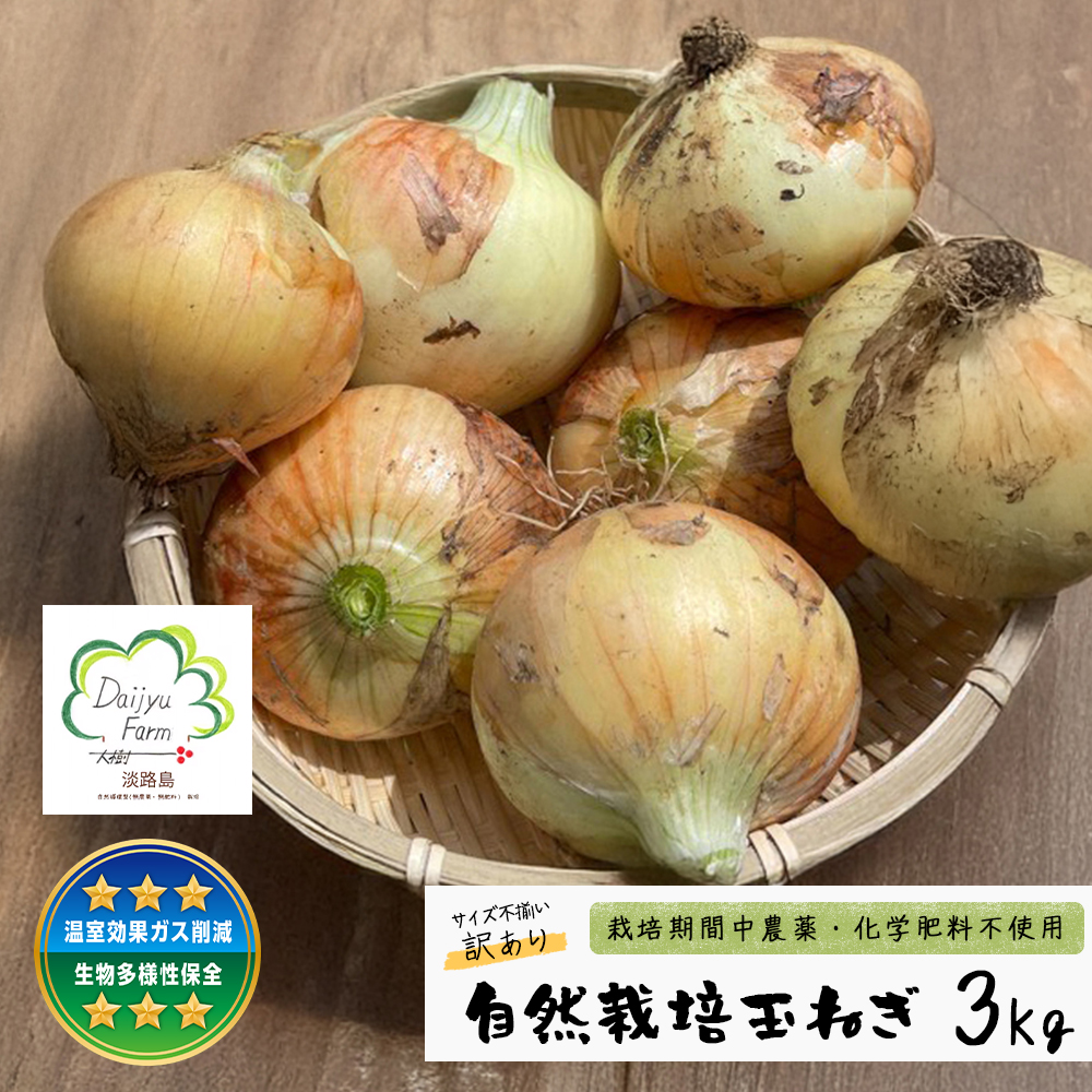 自然栽培玉ねぎ 3kg 《大小様々なサイズのため訳あり》　[