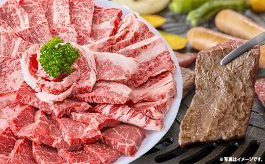 
            焼肉で赤身の美味しさと脂の美味しさ食べ比べ（肩、バラ）（800g）【黒毛和牛 しまね和牛 ウデ カルビ おすすめ 冷凍 ブランド牛 和牛 和牛オリンピック 肉質NO.1 牛肉 お肉 肉 セット 赤身 濃厚 食べ比べ 脂 焼肉 ギフト 贈り物 島根県 安来市】
          