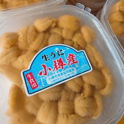 ふるさと納税 小樽市 北海道小樽市[漁師直送]塩水キタムラサキウニ100g×3パック 【2026年5月下旬より発送】 |  | 01