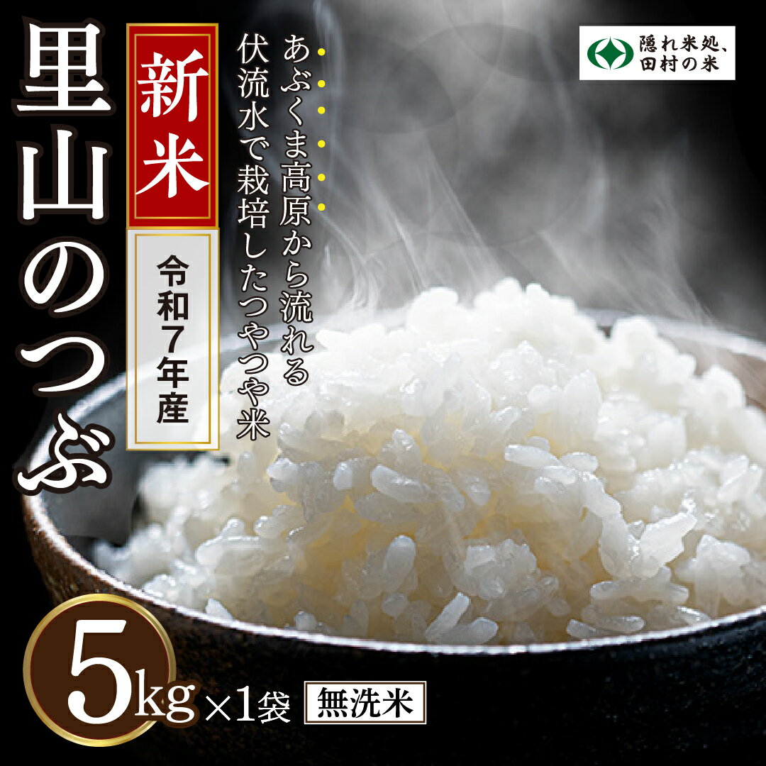 【ふるさと納税】【無洗米】令和7年産 里山のつぶ 5kg 先行予約 10月中旬発送 農家直送 お米 贈答 美味しい 米 kome コメ ご飯 特A ランク 一等米 単一米 精米 玄米 国産 福島県 田村市 光農園