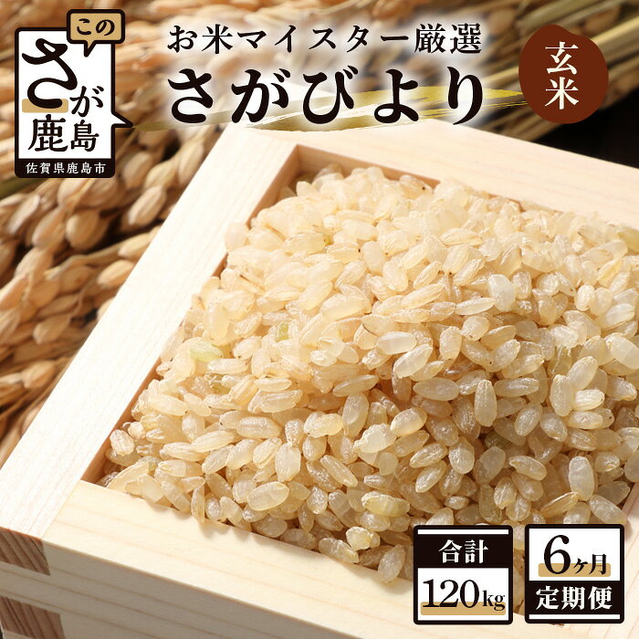 【ふるさと納税】【6ヶ月定期便】鹿島市産 さがびより 玄米 20kg×6回 定期便 6か月 合計120kg 合計6回発送 お米 九州 米 国産 九州産 佐賀県 鹿島市 送料無料 R-2