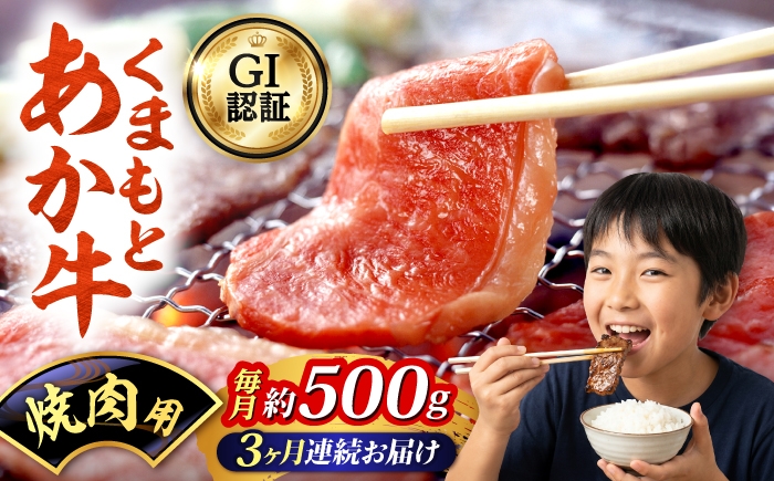 
                  【全3回定期便】GI認証 くまもとあか牛 焼肉用 約500g 和牛 牛肉 焼肉 冷凍【阿蘇牧場】 [AYBX107]
                
