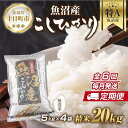 【ふるさと納税】【定期便】｜無洗米｜ 新潟県 魚沼産 コシヒカリ お米 20kg×計6回 精米済み 半年間 毎月発送 こしひかり（お米の美味しい炊き方ガイド付き）　定期便・ 精米 ご飯 ブランド米 銘柄米 　お届け：入金確認の翌月から発送