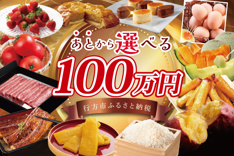 ★あとから選べる★茨城県行方市ふるさとギフト 寄附額：100万円分｜あとから選べる 後から選べる 選べる ギフト 肉 お肉 米 お米 コシヒカリ ミルキークイーン さつまいも サツマイモ 芋 お芋 う