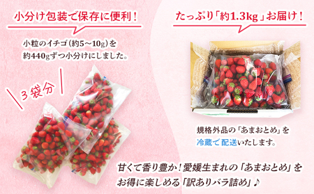 ＜訳あり いちご あまおとめ 約1.3kg 小粒 加工用 冷蔵 規格外品＞ 国産 サイズ 小粒 詰め合わせ アマオトメ 訳あり 訳アリ フルーツ 果物 苺 いちご イチゴ シャーベット スムージー り