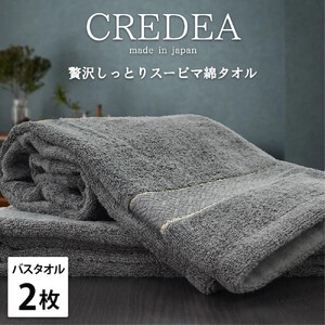【バスタオル2枚組】スーピマ綿バスタオル 60×120cm クレB2-GY