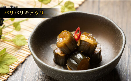 【3ヶ月定期便】なごみやお試しセット 5種 合計620g セット ピクルス きゅうり 椎茸 芽キャベツ 牛蒡 ゴボウ 漬物 漬け物 詰合せ 詰め合わせ 野菜 野菜漬け 茨城県 守谷市 送料無料
