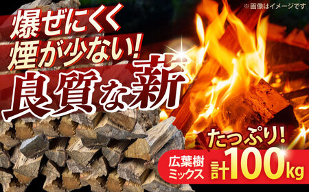 薪 広葉樹ミックス 計100 NCF101 薪