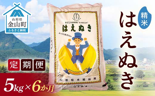 令和7年産《定期便》 金山産米 はえぬき 【精米】5kg×6ヶ月 計30kg 定期便 米 お米 白米 ご飯 精米 ブランド米 送料無料 東北 山形 金山町 F4B-0681