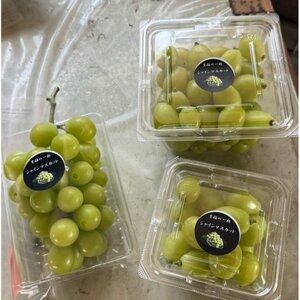 【2026年先行予約】 シャインマスカット 訳あり 2房 約1.2kg 完熟 朝採り 静岡県産【配送不可地域：離島・沖縄県】【1723185】