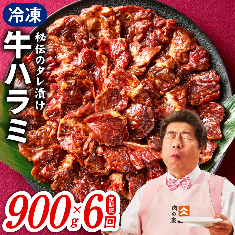 【定期便】牛ハラミ肉 900g×全6回【小分け 300g×3P 秘伝の赤タレ 味付き 焼肉 訳あり サイズ不揃い】 099Z523