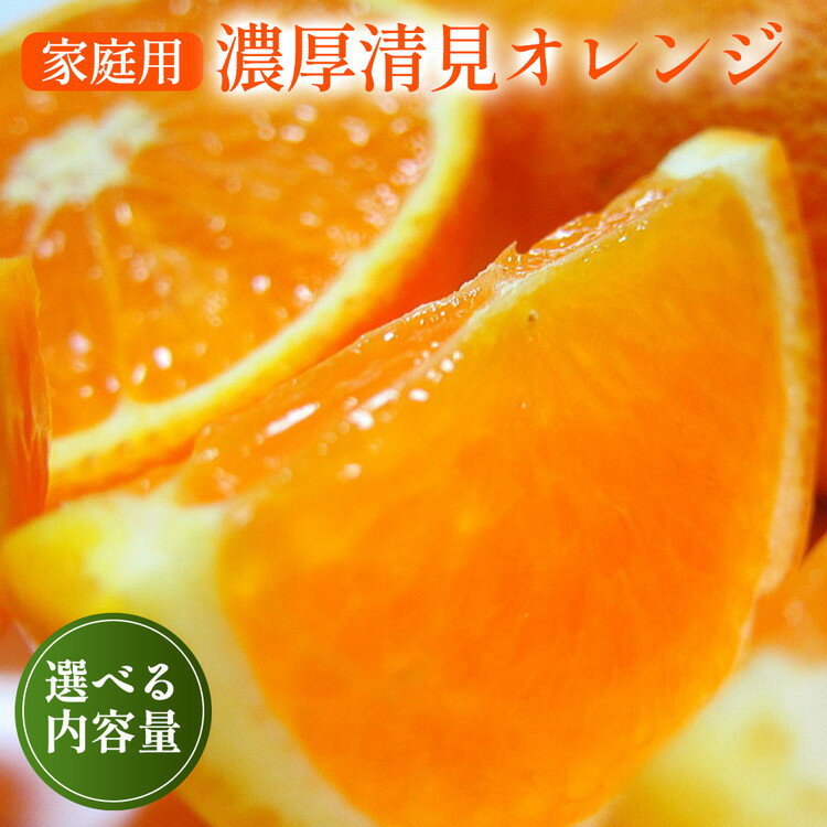 【ふるさと納税】【先行予約】＼選べる内容量／【春の美味】【農家直送】濃厚清見オレンジ（ご家庭用） ※2026年2月下旬～3月下旬頃に順次発送予定 ※北海道・沖縄・離島への配送不可