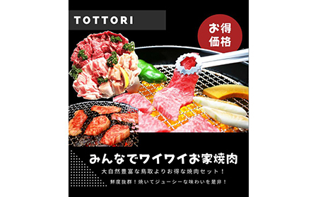 鳥取県産 焼肉セット 1kg(３?5人前) 牛肉 豚肉 鶏肉 焼き肉 バーベキュー BBQ ファミリーセット_T2600251