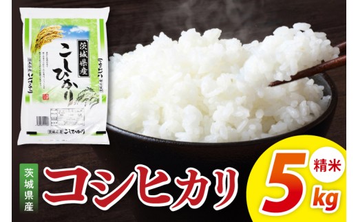 米 コシヒカリ 精米 5kg 令和7年産 茨城県産 お米 こめ コメ ごはん 白米 こしひかり 茨城県産米 単一米 単一原料米 安心 安全 送料無料 国産 人気 数量限定 高評価（85-11）