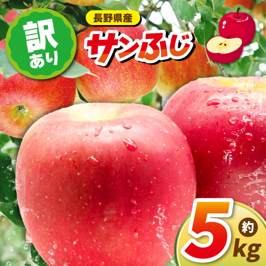 【ふるさと納税】11月上旬から順次発送【先行予約】訳アリりんごサンふじ 5kg｜ 訳あり ふるさと納税 長野県 松本市 リンゴ りんご フジ