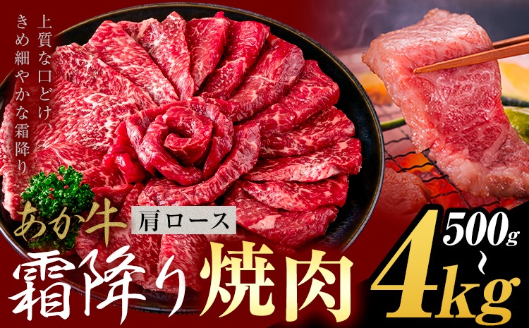 あか牛 肩ロース 焼肉  500g 1kg 2kg 4kg《1月上旬-3月末頃出荷》熊本県 氷川町 牛 牛肉 和牛 ブランド牛---hkw_26_lcl_422_500g---