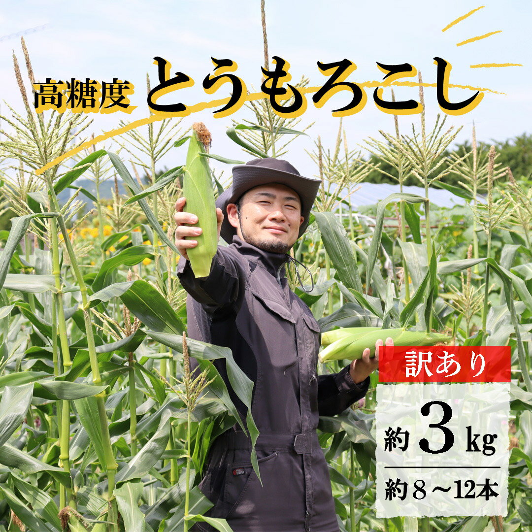 【ふるさと納税】 訳あり とうもろこし 先行予約 高糖度 ゴールドラッシュ 約 3kg 8～12本前後 2025年 7月23日 ~ 8月10日 発送予定 岩手県 遠野市 菊池一真 農家直送 産地直送 朝採り 甘い コーン 夏 野菜 トウモロコシ 数量限定 送料無料 日付指定不可