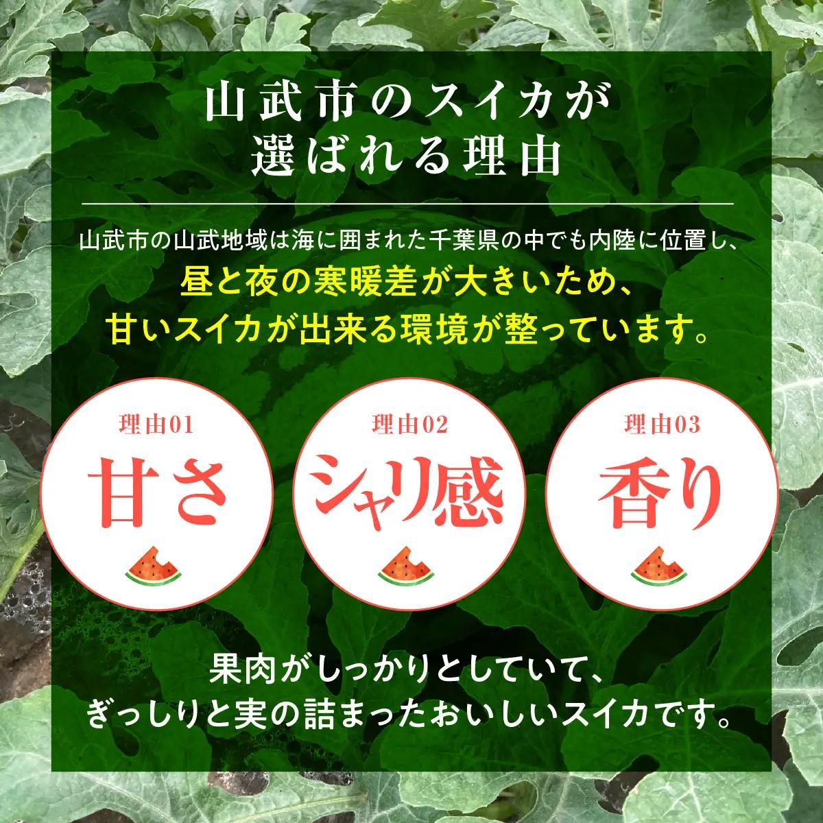 【先行予約・2027年6月上旬～発送】千葉県山武市産の大玉スイカ約12㎏（Ｌサイズ２個セット）SMDA001