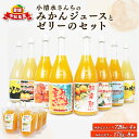 【ふるさと納税】 みかんジュース ゼリー セット ジュース 720ml × 4本 みかんゼリー 175g × 8個 小清水農園 温州 mikan 果汁 飲料 柑橘 みかん 果物 くだもの ストレート 100%ジュース フルーツ 果物ゼリー 産地直送 数量限定 国産 愛媛 宇和島 H024-033004