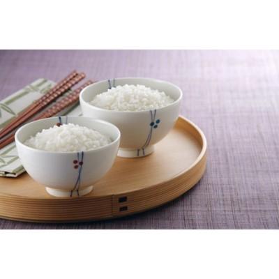 ふるさと納税 田村市 田村市産ひとめぼれ20kg(5kg×4袋)【令和7年産】 |  | 02