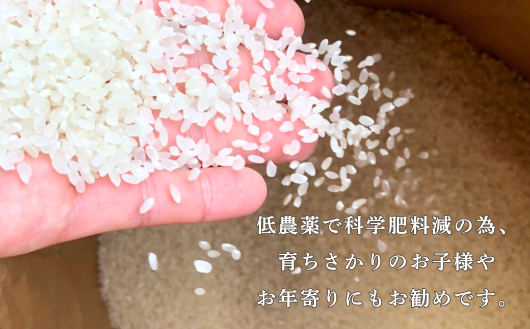 令和7年産 こしひかりカルゲン米 10kg(5kg×2) お米 白米 コシヒカリ | 石川県 小松市【坂口農園】