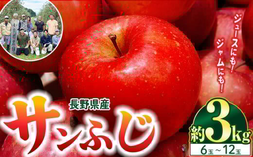 【林檎の名産地】信州松本梓川産　サンふじ  3kg(6～12玉)｜ふるさと納税 松本市 サンふじ りんご 林檎  果物 フルーツ 信州 美味しい