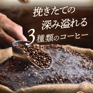【ふるさと納税】三種の自家焙煎コーヒー豆　飲み比べセット【016-0006】