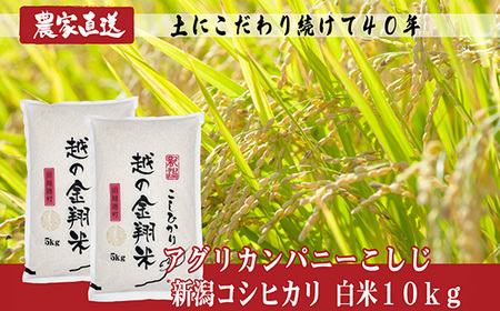 J8-7N101D【越の金翔米】新潟県長岡産コシヒカリ10kg（特別栽培米）