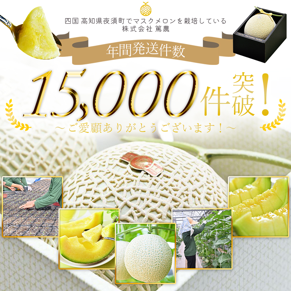 【 香南市 】 家庭用 マスク メロン 1玉入り 1.4kg以上 家庭用 1玉