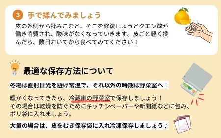 家庭用　不知火 5kg+225g（傷み補償分）【デコポンと同品種】【わけあり・訳あり】【しらぬひみかん・しらぬい】【光センサー選別】【ikd055B】