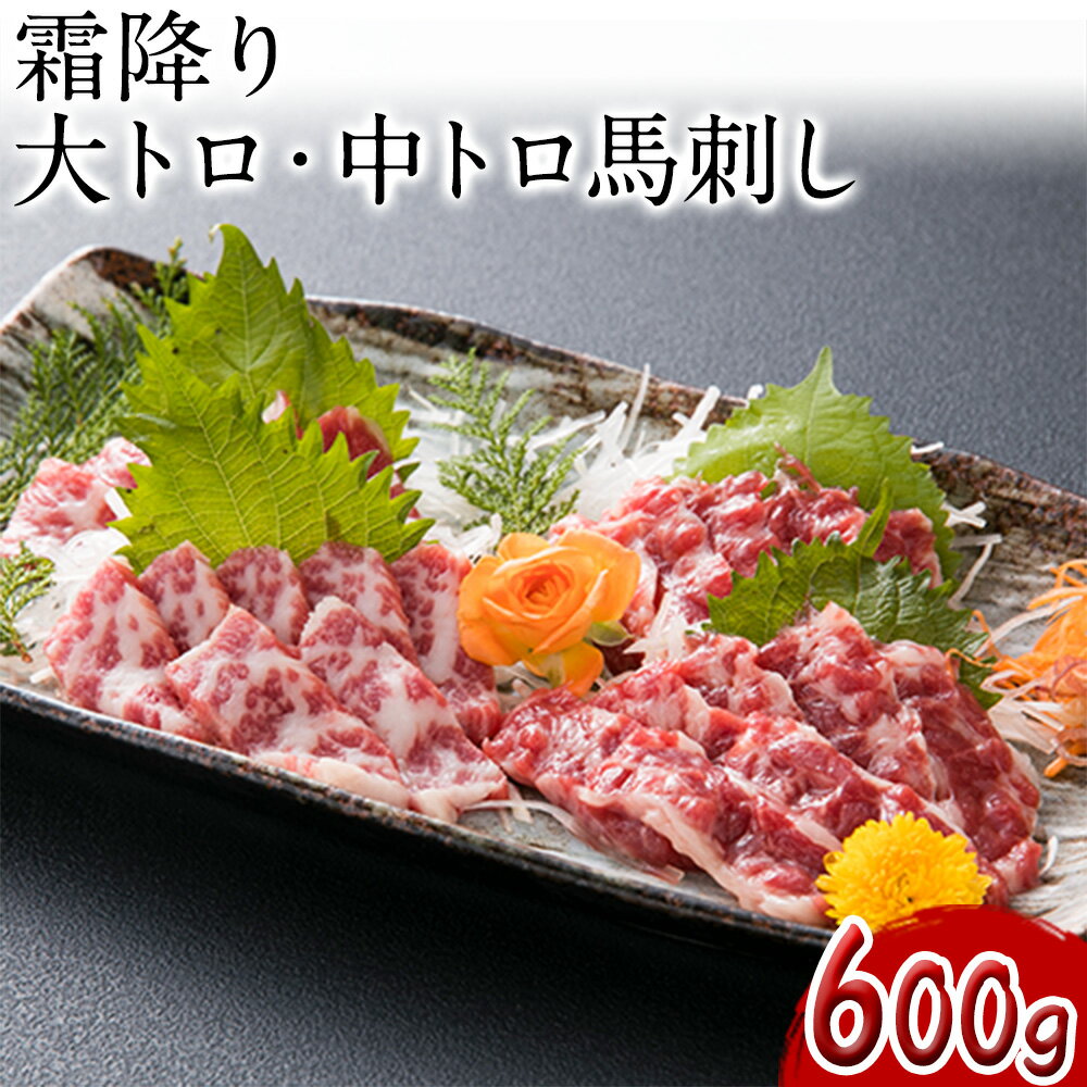 【ふるさと納税】大トロ中トロ馬刺し盛り 600g 桜屋《30日以内に出荷予定(土日祝除く)》熊本県 菊池市 馬刺し 大トロ 中トロ 食べ比べ 馬肉 霜降り