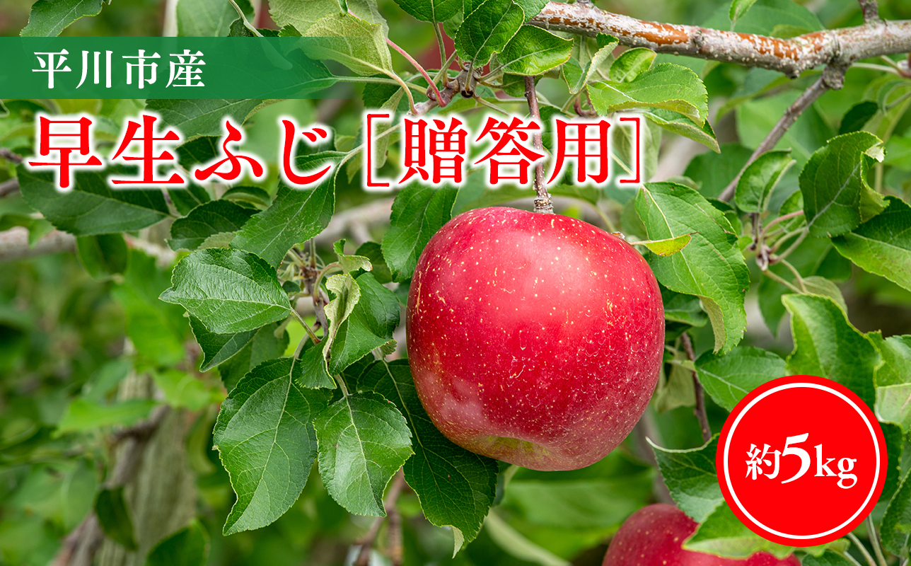 【10月発送】贈答用早生ふじ5kg【今井農園】≪hi-0064-011≫