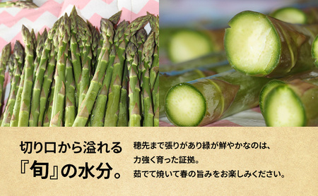 先行予約 グリーンアスパラ 2kg L～3L混合 アスパラガス