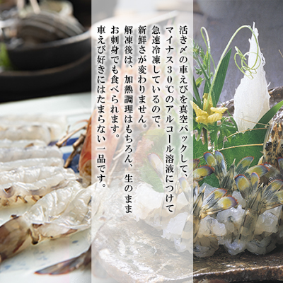 生食用凍眠凍結姫島車えび(養殖)約200ｇ(4尾～5尾)×18パック　A9