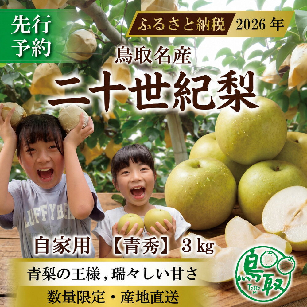【ふるさと納税】三ツ田農園 二十世紀梨(青秀)3kg【8月下旬以降お届け】